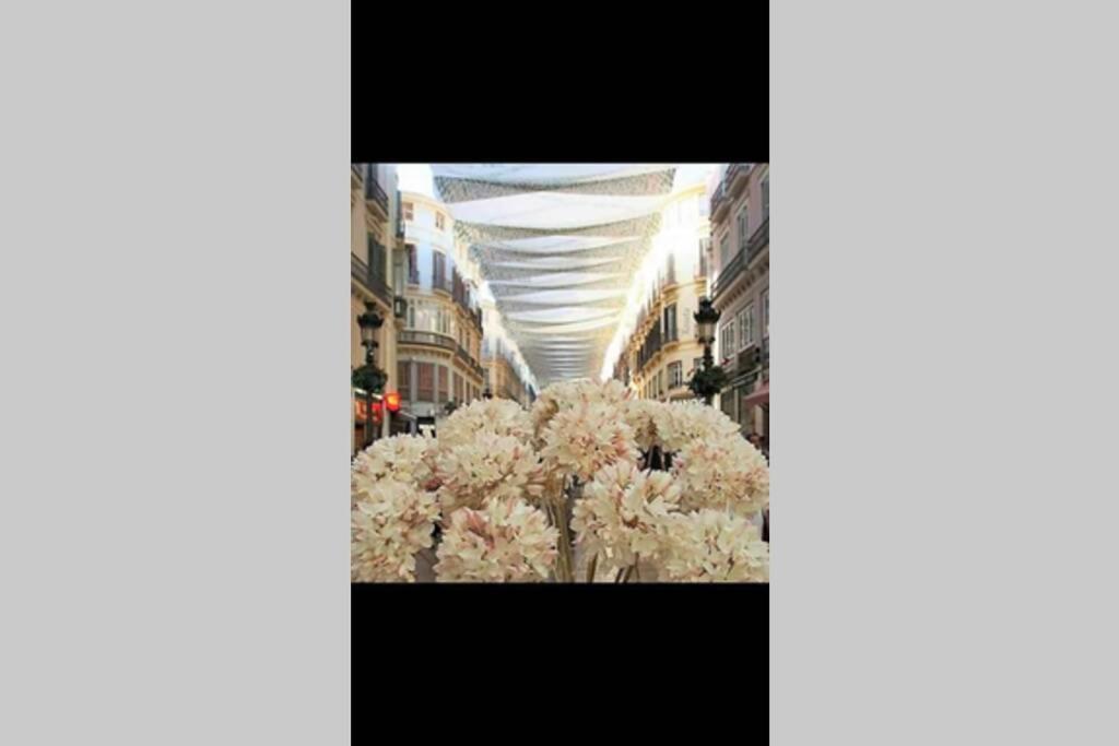 Soho10 San Lorenzo Lejlighed